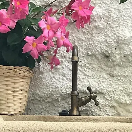 Campanelle 54 * Triest