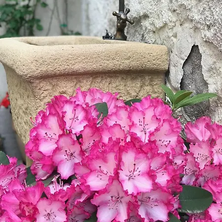 Campanelle 54 Apartament Triest